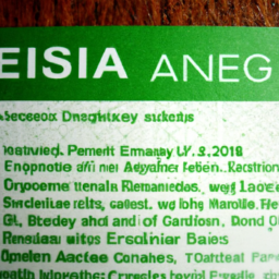 Description: A picture of a U.S. green card with the words EB-5 Visa Program.